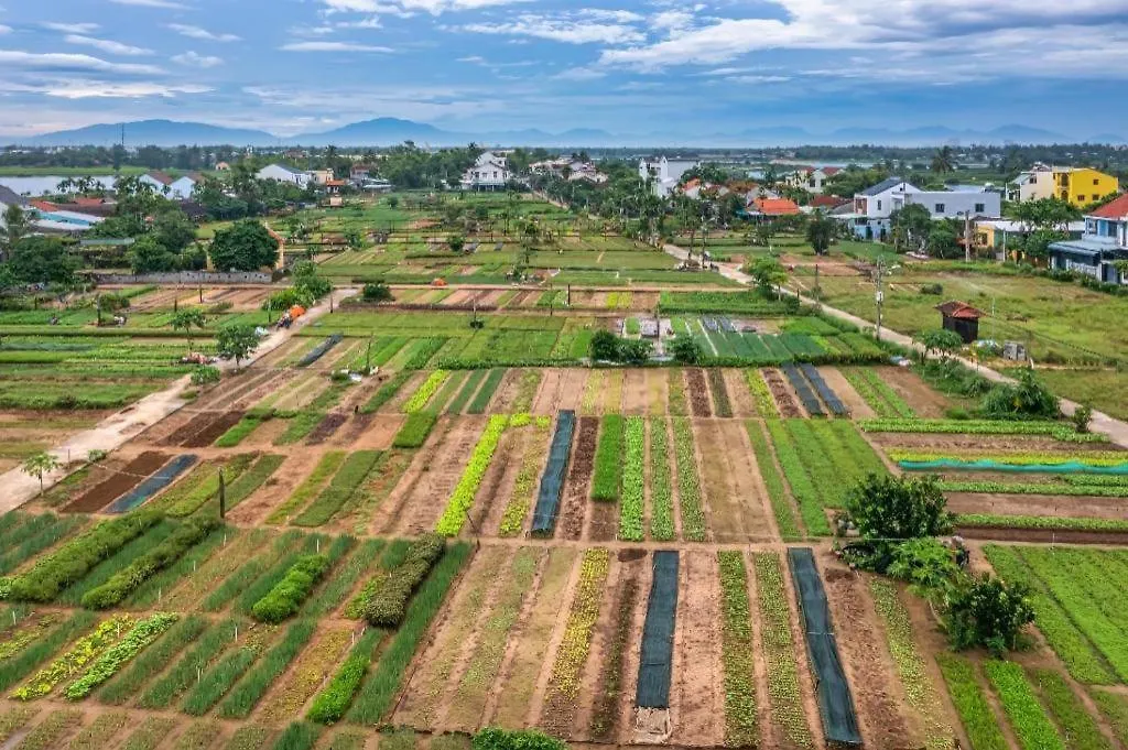 Bien Dao Homestay Hoi An